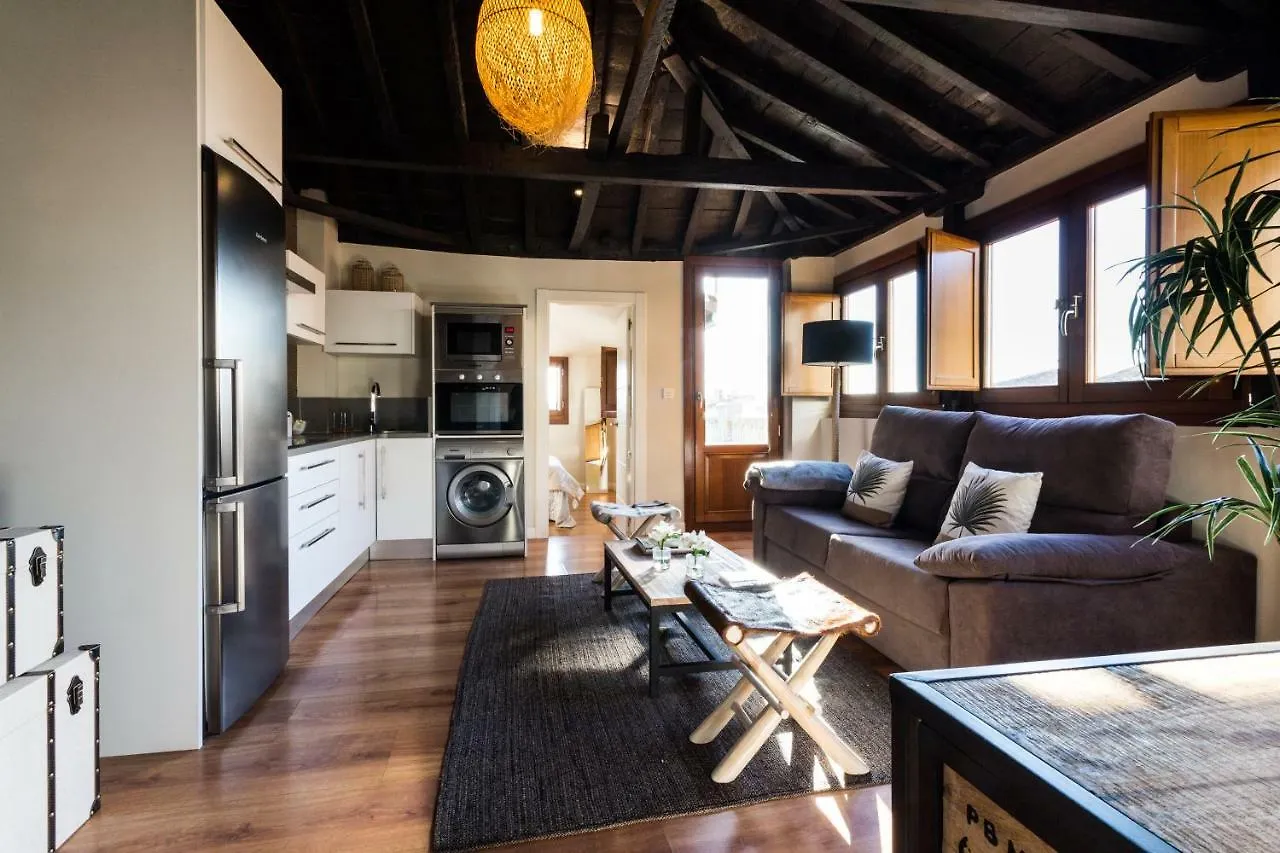 Apartment Atico Fortuny Granada Spain